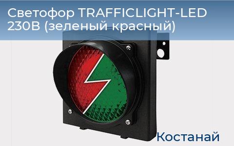 Светофор TRAFFICLIGHT-LED 230В (зеленый+красный), kostanaj.doorhan.ru