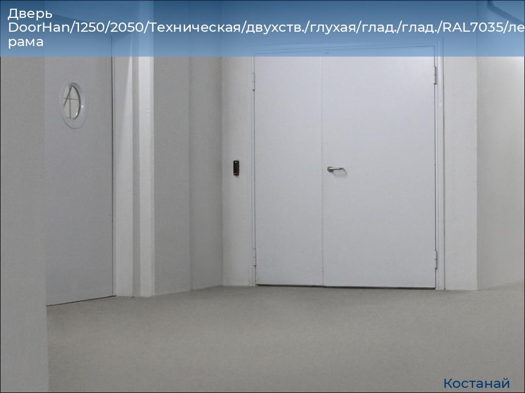 Дверь DoorHan/1250/2050/Техническая/двухств./глухая/глад./глад./RAL7035/лев./угл. рама, kostanaj.doorhan.ru